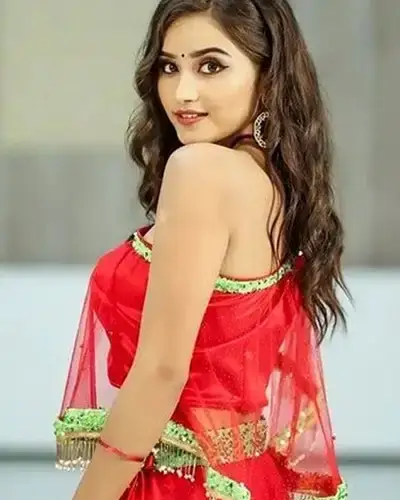 Call Girls Service Chhatargarh